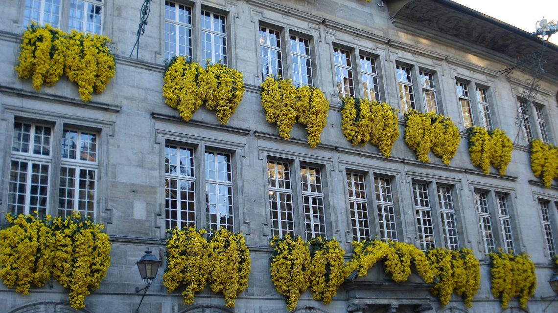 Conception web à Lausanne, prestations professionnelles