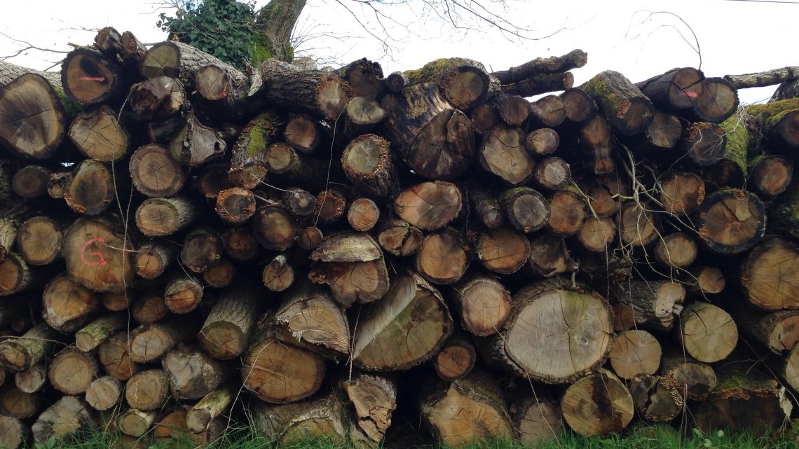 Comment choisir son bois de chauffage à Uzès ?